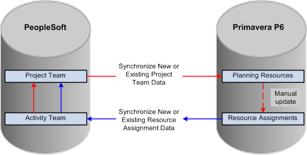 Primavera P6 Resource Assignments versus PeopleSoft Project Teams