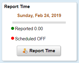 Report Time Tile for Elapsed time reporters